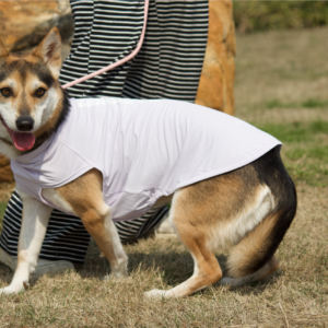 ZEROSENSE® DOG COOLING/Purple