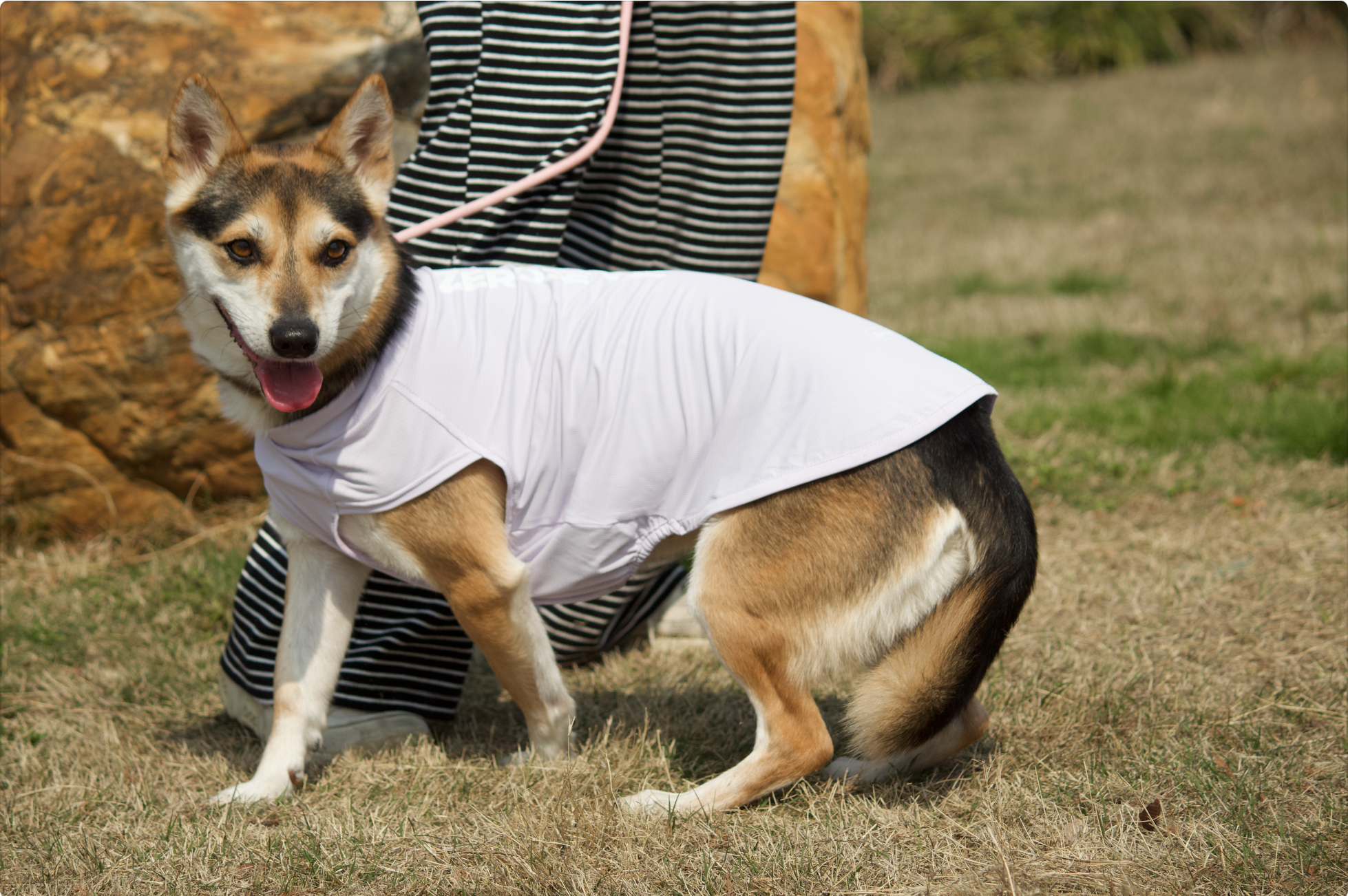 ZEROSENSE® DOG COOLING/Purple