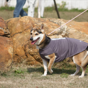 ZEROSENSE® DOG COOLING/Grey