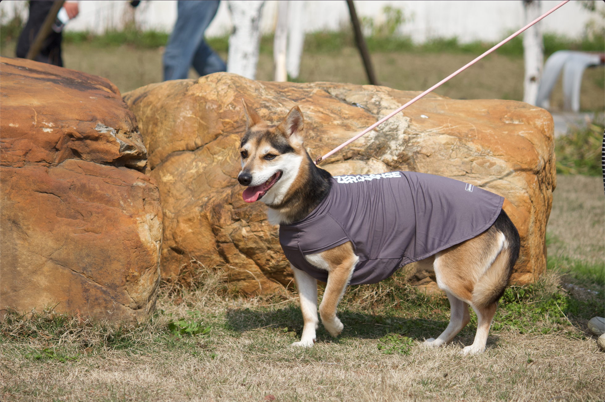 ZEROSENSE® DOG COOLING/Grey