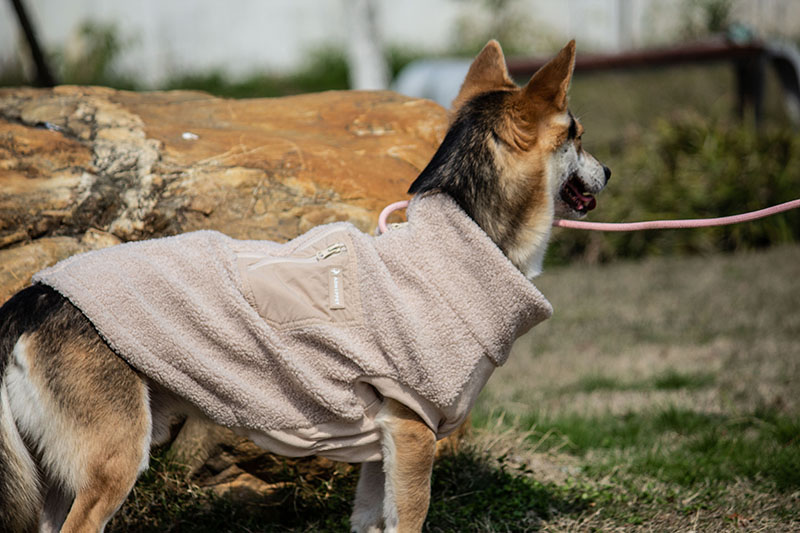 Bouclé Dog Coat /BEIGE