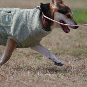 Bouclé Dog Coat /MINT