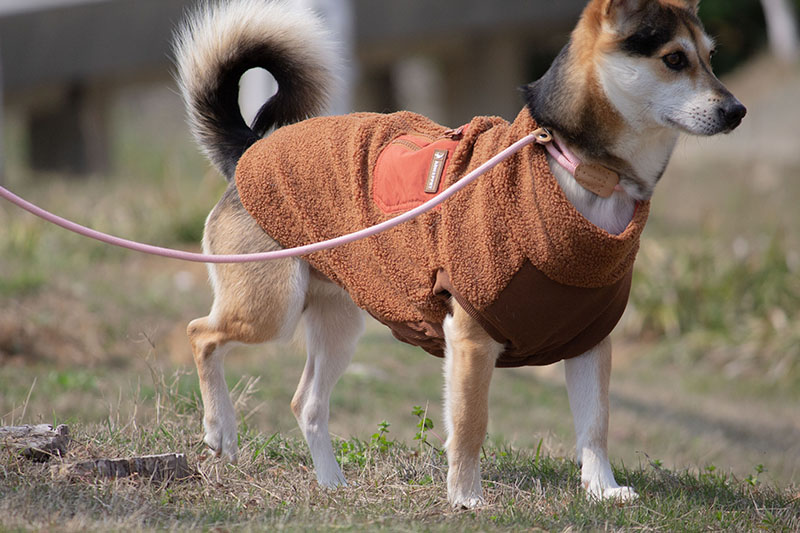 Bouclé Dog Coat /Brown